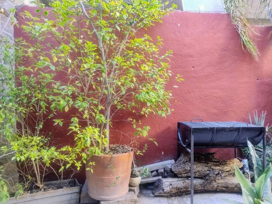 Casa Fray Pedro Jacuzzi Privado Apartment San Miguel de Allende